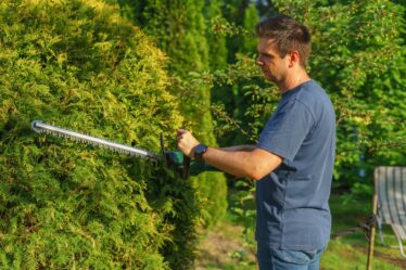 Tipps für die Gartenarbeit