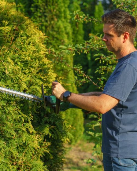 Tipps für die Gartenarbeit