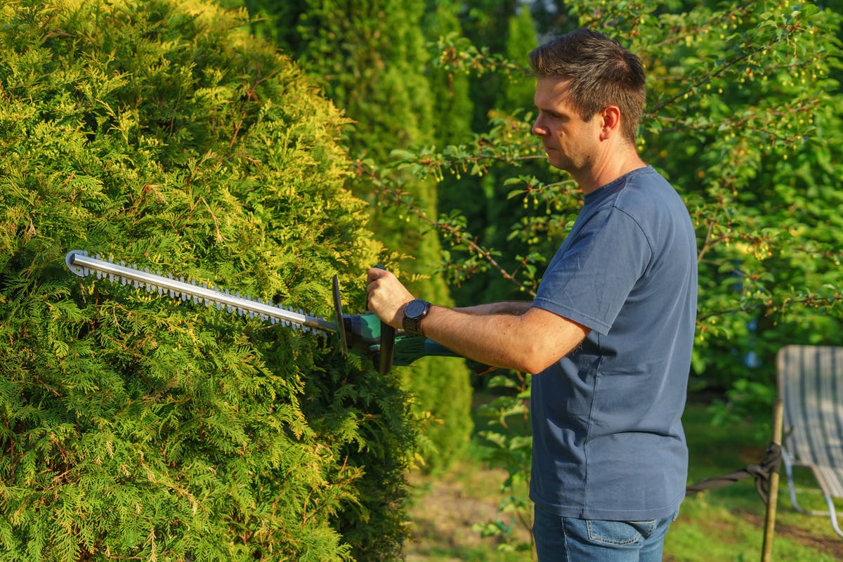 Tipps für die Gartenarbeit