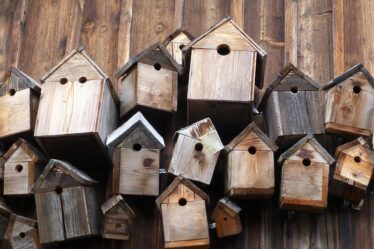 Vogelhäuschen im Hausgarten