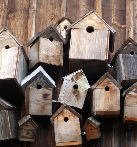 Vogelhäuschen im Hausgarten