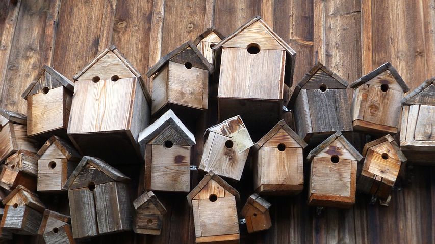 Vogelhäuschen im Hausgarten